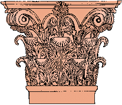 Illustration of acanthus
