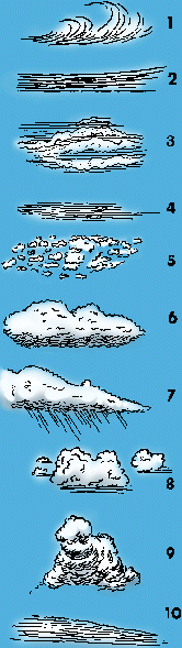 Illustration of cloud