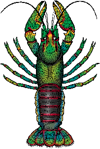 Illustration of crayfish