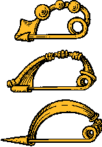 Illustration of fibula