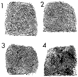 Illustration of fingerprint