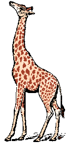 Illustration of giraffe
