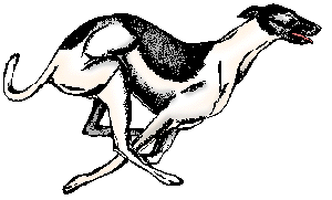 Illustration of greyhound