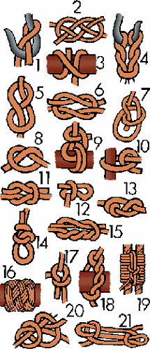 Illustration of knot