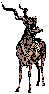Illustration of kudu