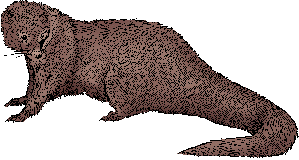 Illustration of mongoose