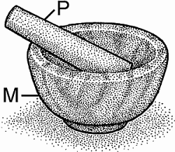 Illustration of mortar