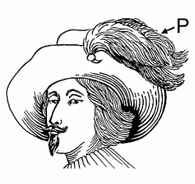 Illustration of plume