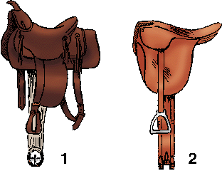 Illustration of saddle