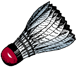 Illustration of shuttlecock