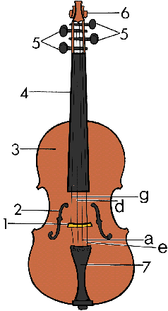 Illustration of violin