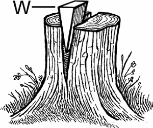 Illustration of wedge